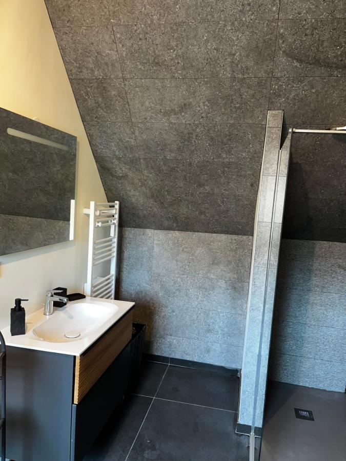 Magnifique Duplex Avec Jaccuzi, Sauna Et Cinema Room Privatif Fontenoy  Экстерьер фото